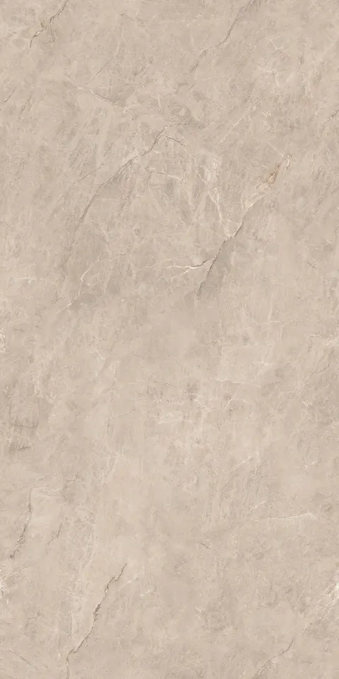 ALONZO BEIGE OPEC view 5